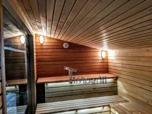 Moderna Sauna Da Esterno Per Giardino (21)