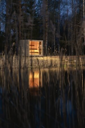 Sauna moderna TimberIN Nordic Cube illuminata di notte tra le canne